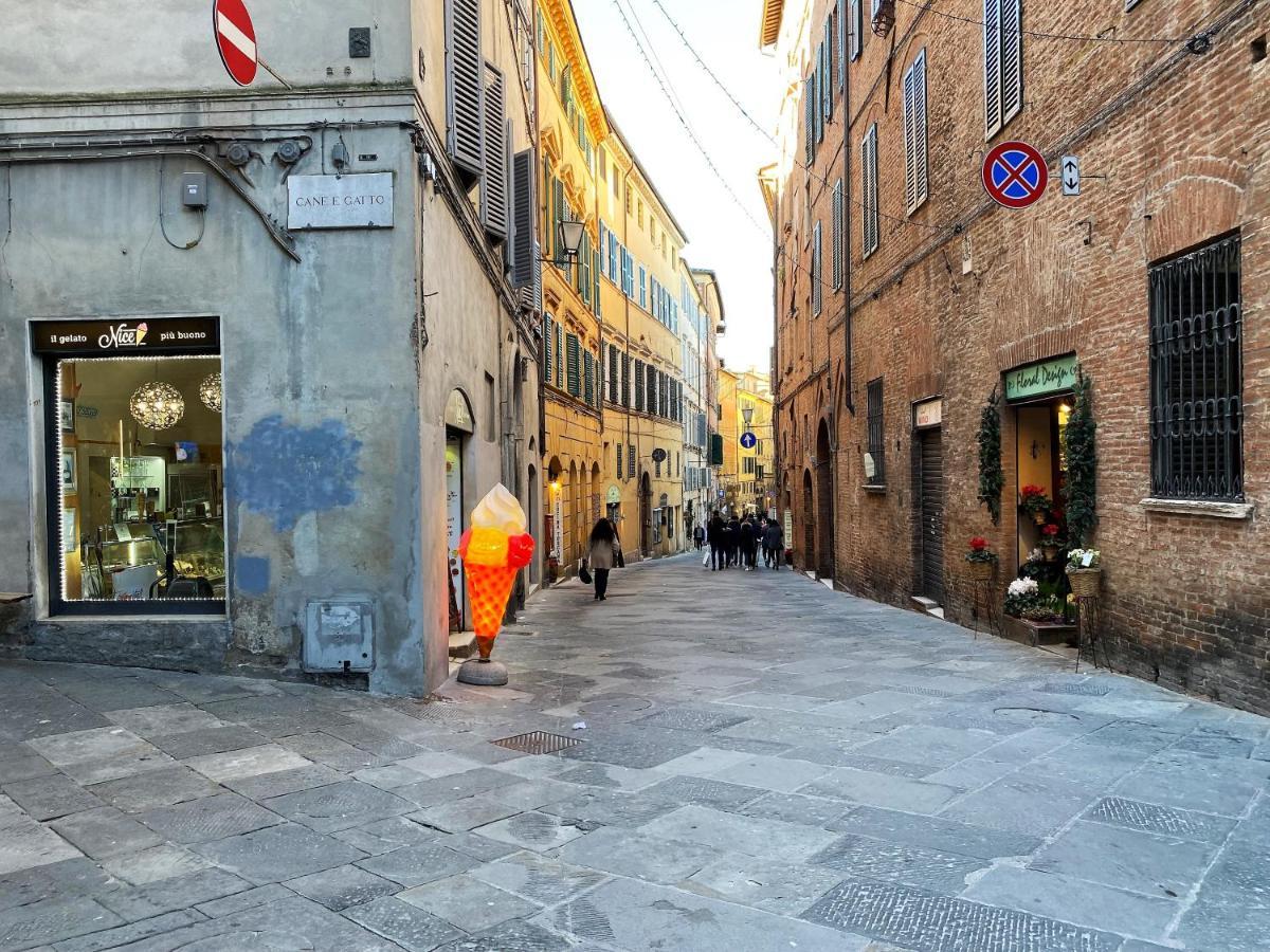 Il Mondo Di Claire - Cozy And Charm Siena Exteriér fotografie
